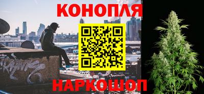 прущие грибы Краснодар