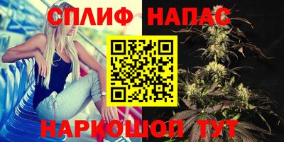 гашик Краснознаменск