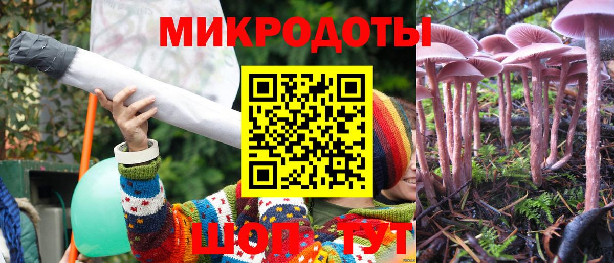 Псилоцибиновые грибы Cubensis Елец