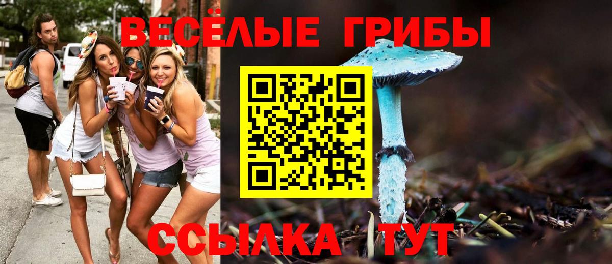 Галлюциногенные грибы мицелий  Вход с VPN  Елец 